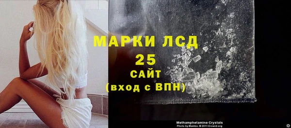 шишки Инта
