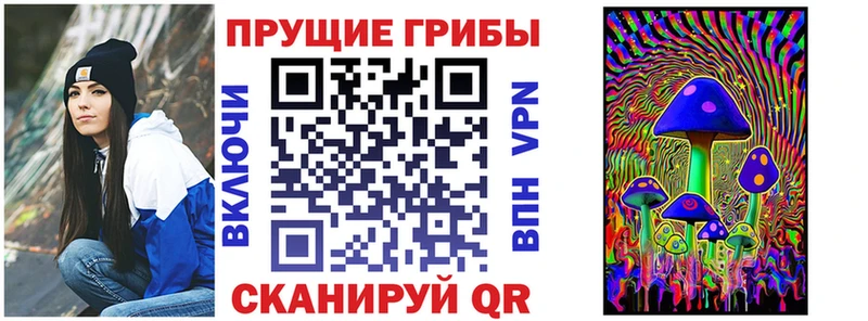 Галлюциногенные грибы Psilocybine cubensis  Новоалтайск 