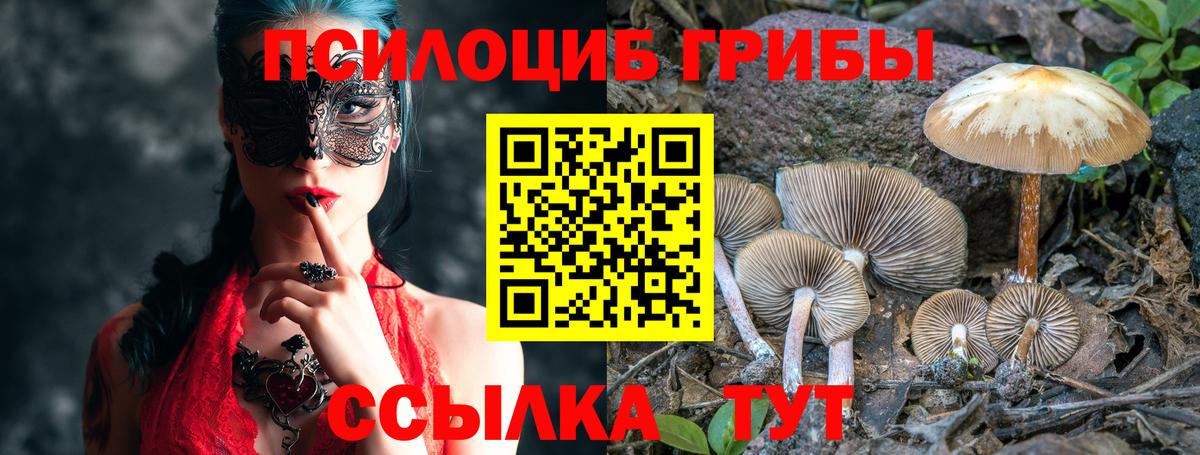 Галлюциногенные грибы ЛСД Новоалтайск