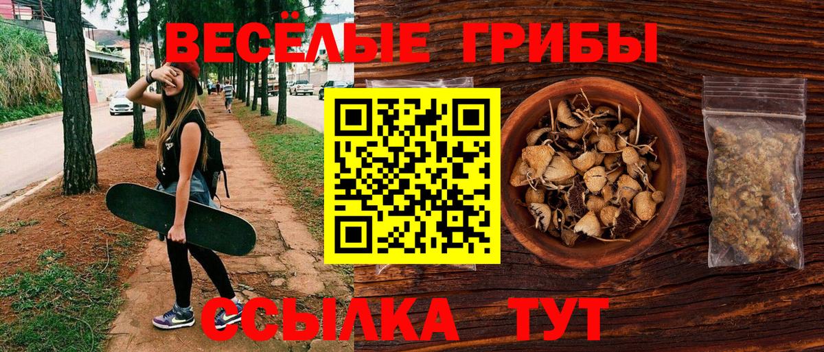 закладки  Вход с VPN  Новоалтайск  Псилоцибиновые грибы Psilocybe 